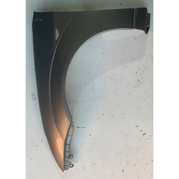 Paralama Lado Esquerdo Motorista Ford Focus 98/08   Ca195