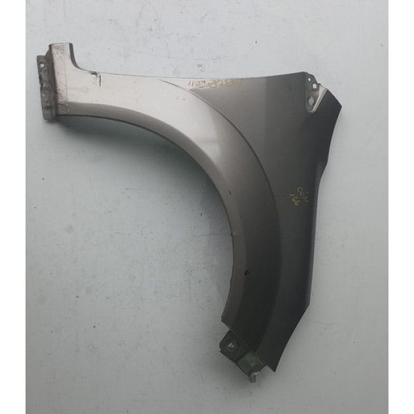 Paralama Lado Direito Passageiro Ford Fiesta 11/14   Ca70