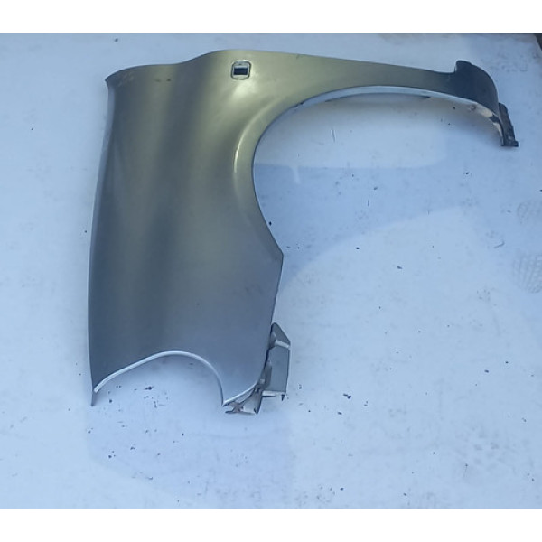 Paralama Lado Esquerdo Renault Clio 99/02    Ca192