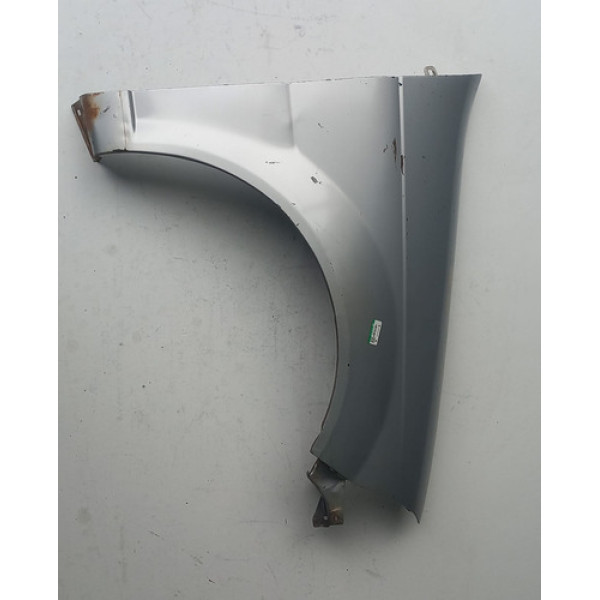 Paralama Lado Direito Palio/weekendcara De Rato S/ Aplique